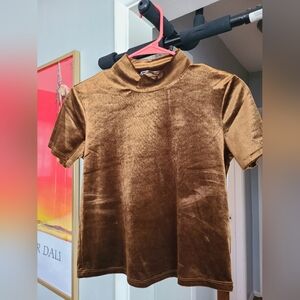 Zara Golden Velvet Top